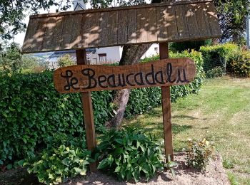 Excursión Senderismo Hénon - Dans le bois des pins. - Photo