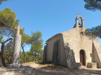 Trail Walking Villedieu - Villedieu - Photo