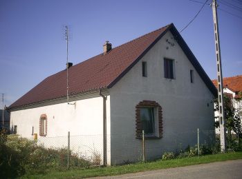 Tour Zu Fuß Unbekannt - Wrocław -Sobótka - Photo