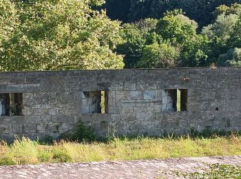 Randonnée Marche Besançon - Besançon : le Doubs, le centre, la citadelle  - Photo