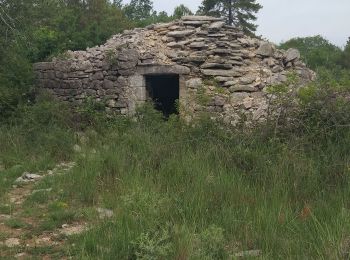 Randonnée Marche Chandolas - grotte de coudon - Photo