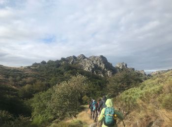 Tour Wandern Rosis - De l’Espinouse au Caroux - Photo