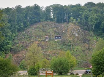 Excursión A pie Gomadingen - Hermaringen - Burgberg - Charlottenhöhle - Photo