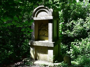 Tour Zu Fuß Hennef (Sieg) - Marienweg (Erlebniswege Sieg Nr. 5) - Photo