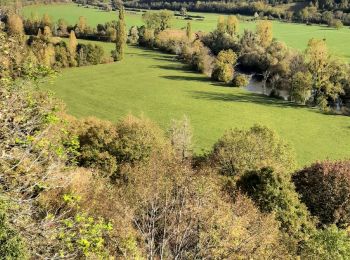 Excursión Senderismo Champagne-sur-Loue - champagne sur Loue - Photo