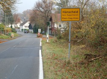 Percorso A piedi Ruppichteroth - Winterscheid Rundweg A6 - Photo