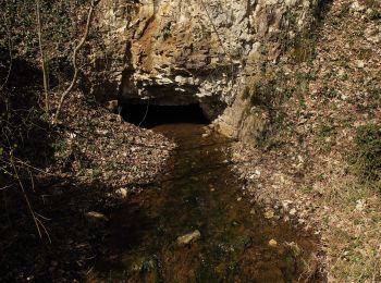 Percorso A piedi Pegnitz - Pegnitz-Hubertussteig - Photo