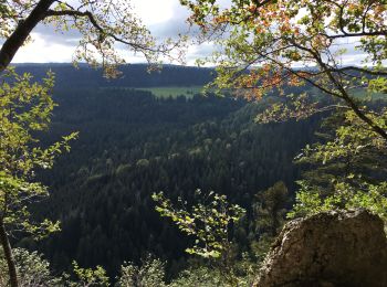 Tocht Stappen Les Gras -  jours 2 Jura - Photo