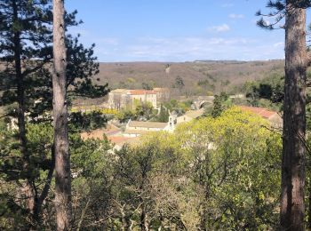 Randonnée Marche Réauville - Abbaye d’Aiguebelle  - Photo