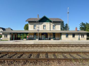 Percorso A piedi Gemeinde Wöllersdorf-Steinabrückl - Wöllersdorf - Aigen - Photo