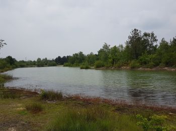 Randonnée Marche Écouflant - Ecouflant les Sablière  - Photo