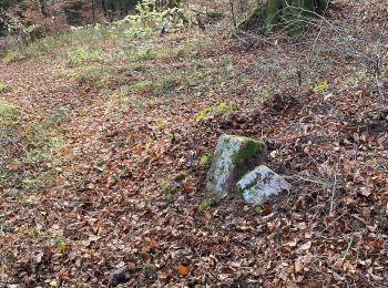 Trail On foot Enges - Enges - fixme - Photo