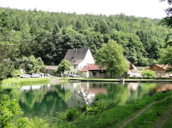 Percorso A piedi Schollbrunn - Roter Hase, Rundwanderweg Schollbrunn - Photo