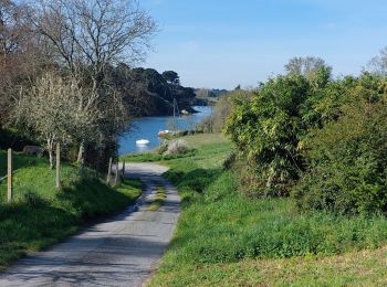 Tour Wandern Saint-Coulomb - GR_34_AE_05_St-Coulomb_St-Malo_20230409 - Photo