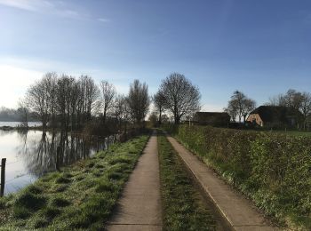 Tocht Te voet Zutphen - NS-Wandeling IJsselvallei - Photo