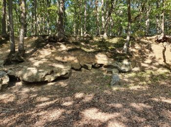 Randonnée Marche Châteaufort - gitane à  Chateaufort  - Photo