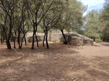 Excursión Senderismo Nages-et-Solorgues - Nages les capitelle - Photo