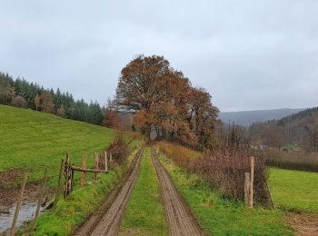 Randonnée Marche Vielsalm - Balade à Grand-Halleux - Photo