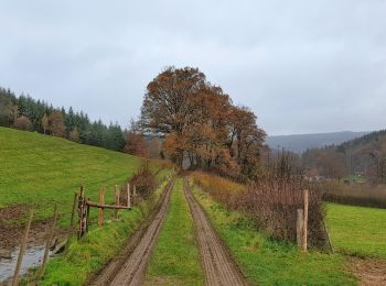 Excursión Senderismo Vielsalm - Balade à Grand-Halleux - Photo