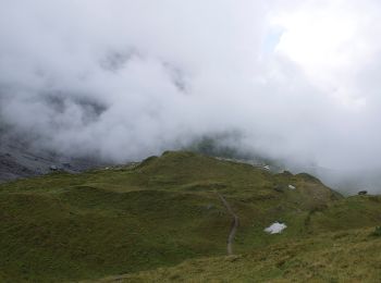 Excursión A pie Wolfenschiessen - Jochpass - Trübsee - Photo