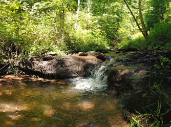 Tocht Te voet Oppenweiler - Bergbaulehrpfad Spiegelberg - Photo