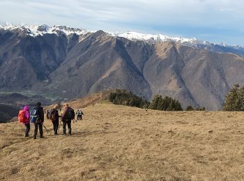 Excursión Senderismo Baren - mail de la Pique 20.02.2021 - Photo