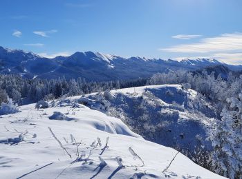 Excursión Senderismo Corrençon-en-Vercors - Château Julien  - Photo