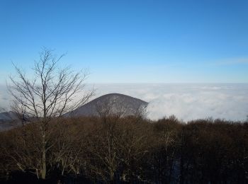 Tour Zu Fuß okres Vranov nad Topľou - Telekia - Photo