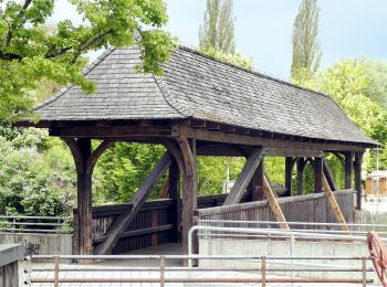 Randonnée A pied Schwandorf - Baustadl-Lindenlohe-Holzhaus - Photo