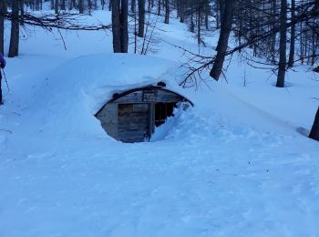 Randonnée Raquettes à neige Le Petit Jardin - col de furfande - Photo