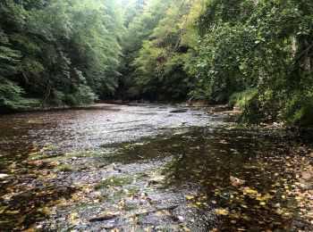 Excursión Bici de montaña Sorges et Ligueux en Périgord - Vélo - Photo