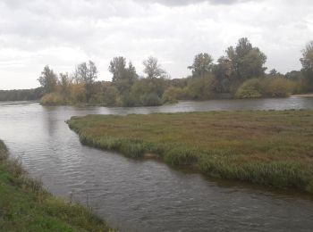 Percorso Cicloturismo Ousson-sur-Loire - Loire 45 Briare - Photo