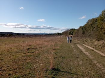 Randonnée Marche Aubais - Balade entre Aubais et Junas le 20 janvier 2022 - Photo