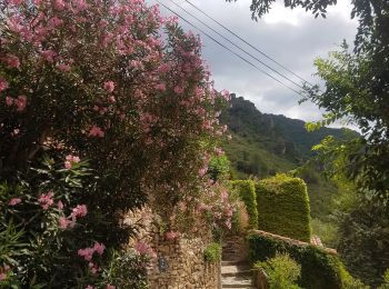 Excursión Senderismo Vieussan - Vieussan, le Pin, Vieussan. - Photo