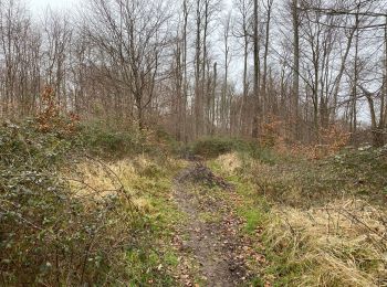 Trail Walking Saint-Jean-aux-Bois - Saint Jean au Bois 13,4 km - Photo