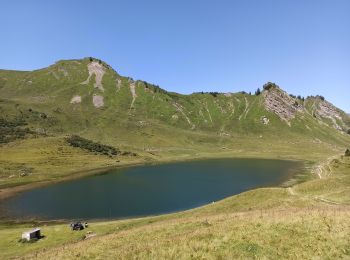 Randonnée Marche Taninges - 11-08-21 lac de Roy et pointe de Haut-Fleury - Photo