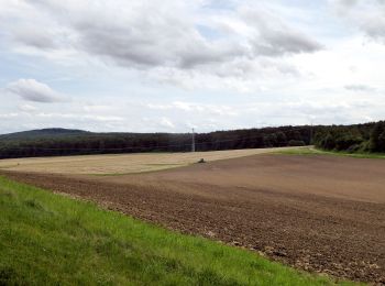 Randonnée A pied Rosdorf - Rundwanderweg Scheden 9 - Photo