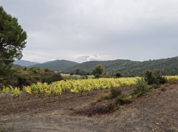 Excursión Senderismo Pierrefeu-du-Var - 2021-10-21 les hameaux de Pierrefeu - Photo