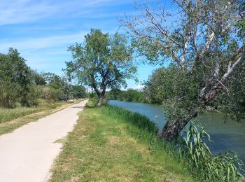 Excursión Senderismo Arles - arles sud, théâtre, pont van gogh et au delà  - Photo