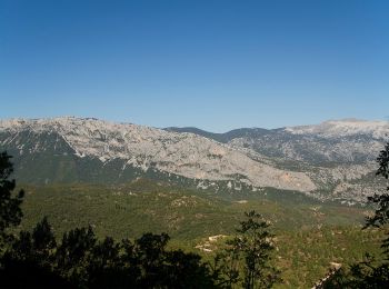 Percorso A piedi Dorgali - (SI Z13) Durgali – Sa Barva - Photo