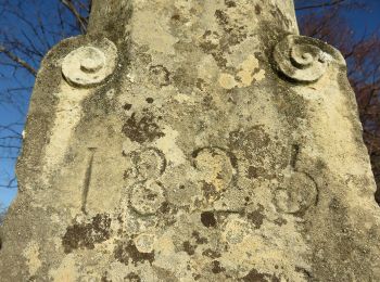 Tour Zu Fuß Frontenas - Randonnée Voie du Tacot - Photo