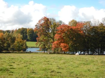 Randonnée Marche Libramont-Chevigny - RB-Lu-22_Flohimont_via-racc - Photo