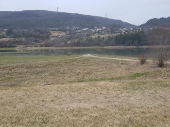 Excursión Senderismo Samognat - Grand tour du lac de Samoniat - Photo