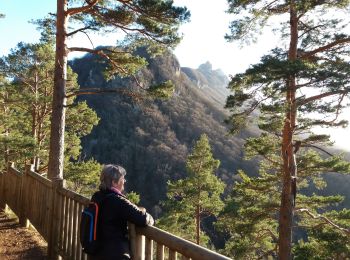 Tocht Stappen La Chapelle-du-Mont-du-Chat - MONT DU CHAT: LES BELVEDERES - Photo