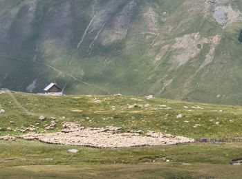 Tocht Stappen Saint-Dalmas-le-Selvage - rando vallon salso moreno 6-07-2022 - Photo