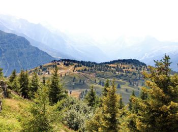 Randonnée Marche Saint-Gervais-les-Bains - Le Prarion - Photo