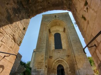 Trail Mountain bike La Chapelle-Aubareil - montignac 230617 - Photo