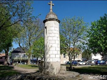 Trail Walking La Bernerie-en-Retz - Bernerie_Treans - Photo