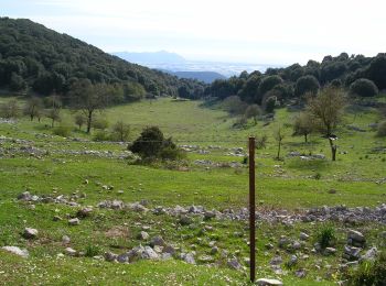 Trail On foot Sonnino - Frasso - Monte Romano - Photo