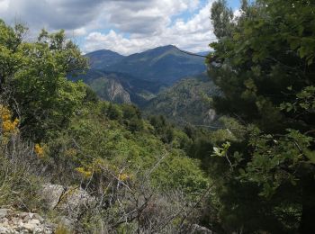 Excursión Senderismo Sainte-Jalle - le linceuil - Photo